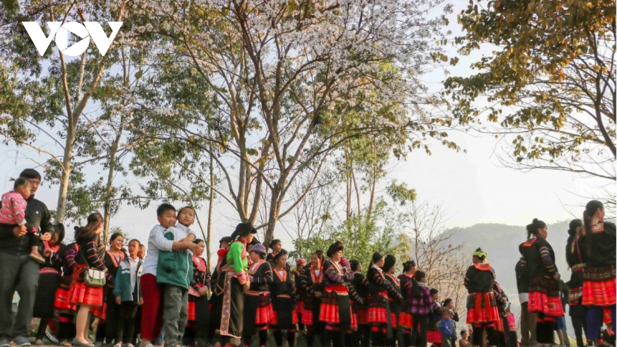 Dien Bien Ban Flower Festival 2026 to feature new highlights